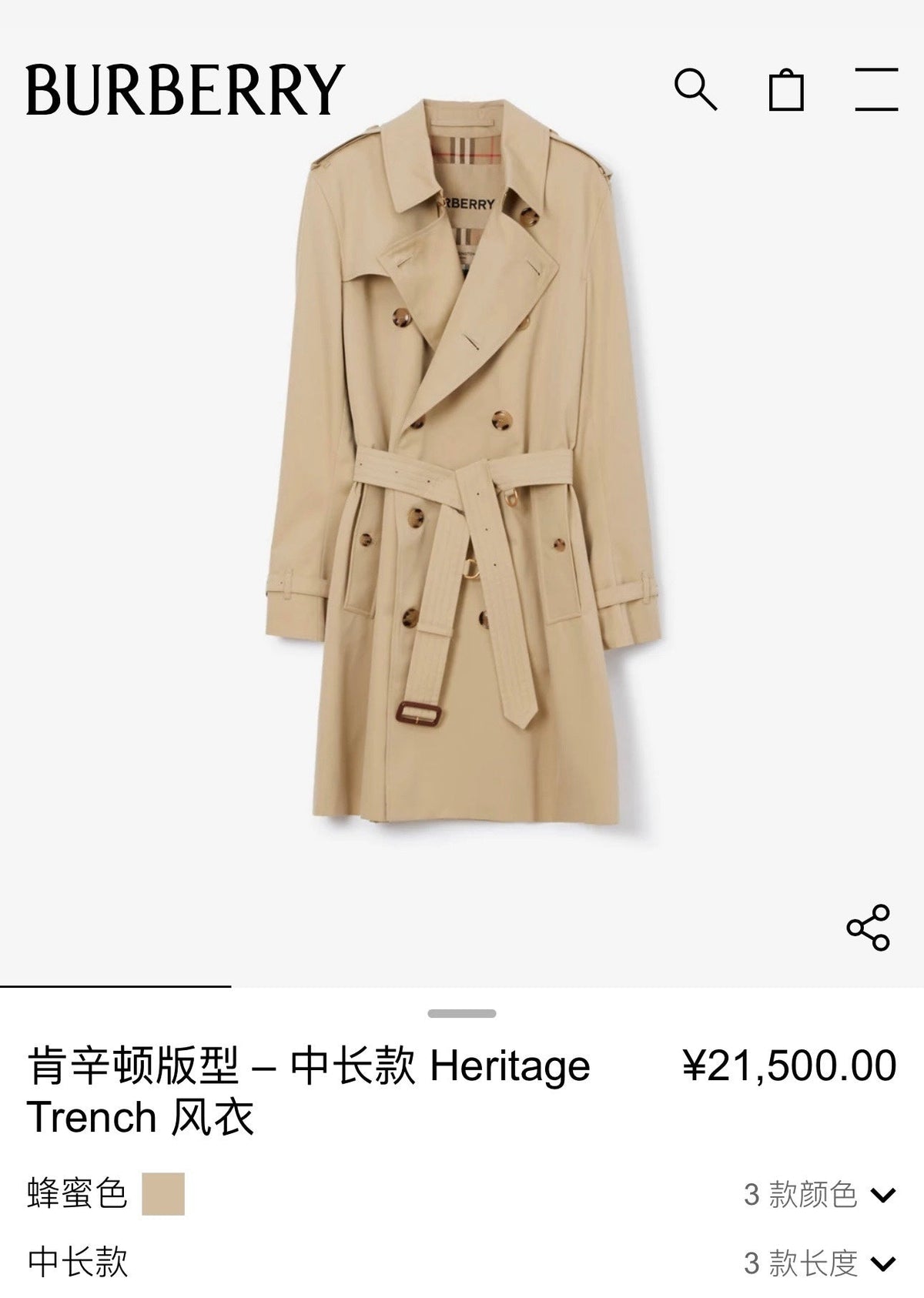 Navy Trench Coat - Men's