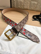 White and Golden Belt