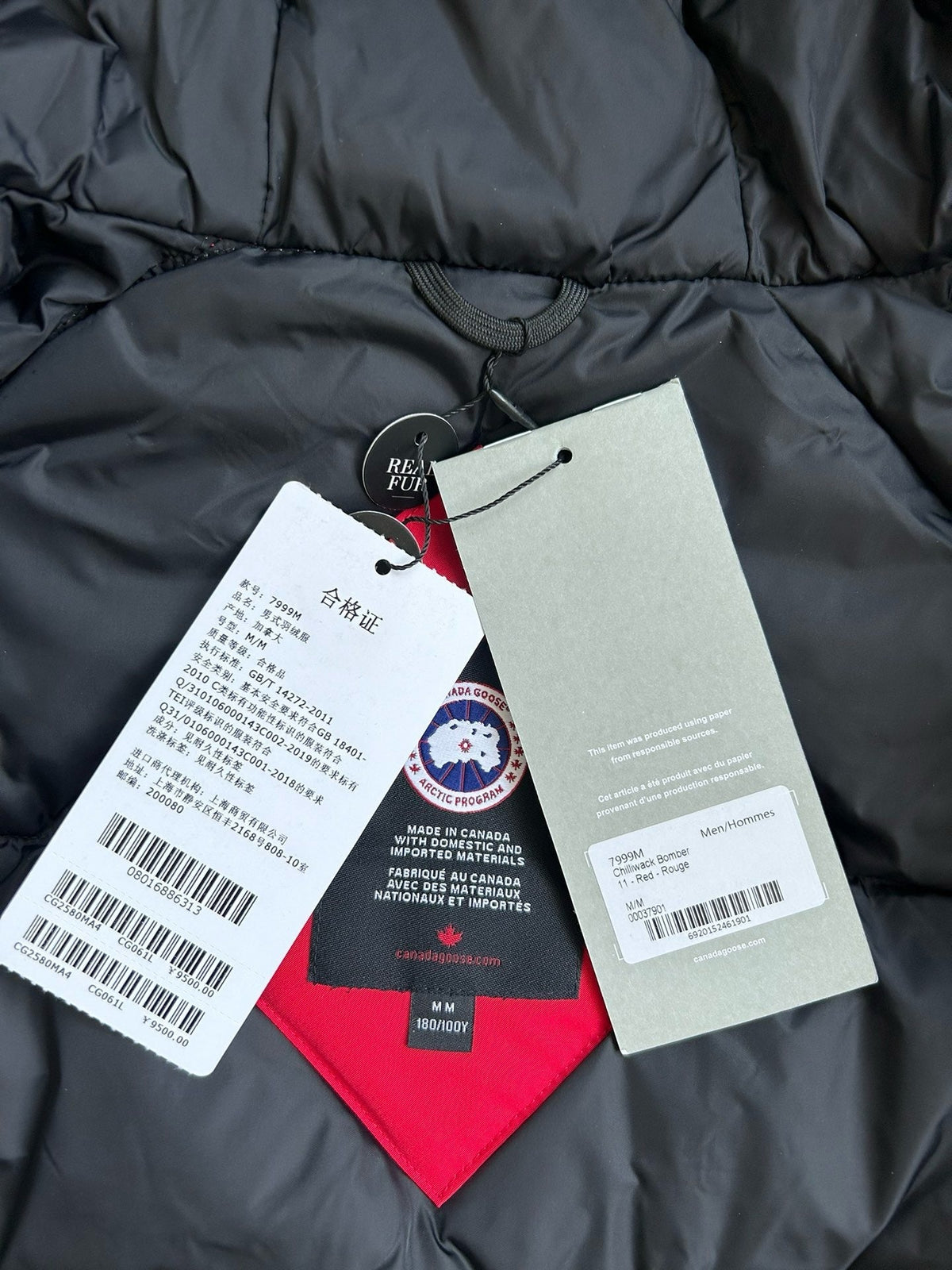 Multicolour Parka - Men's
