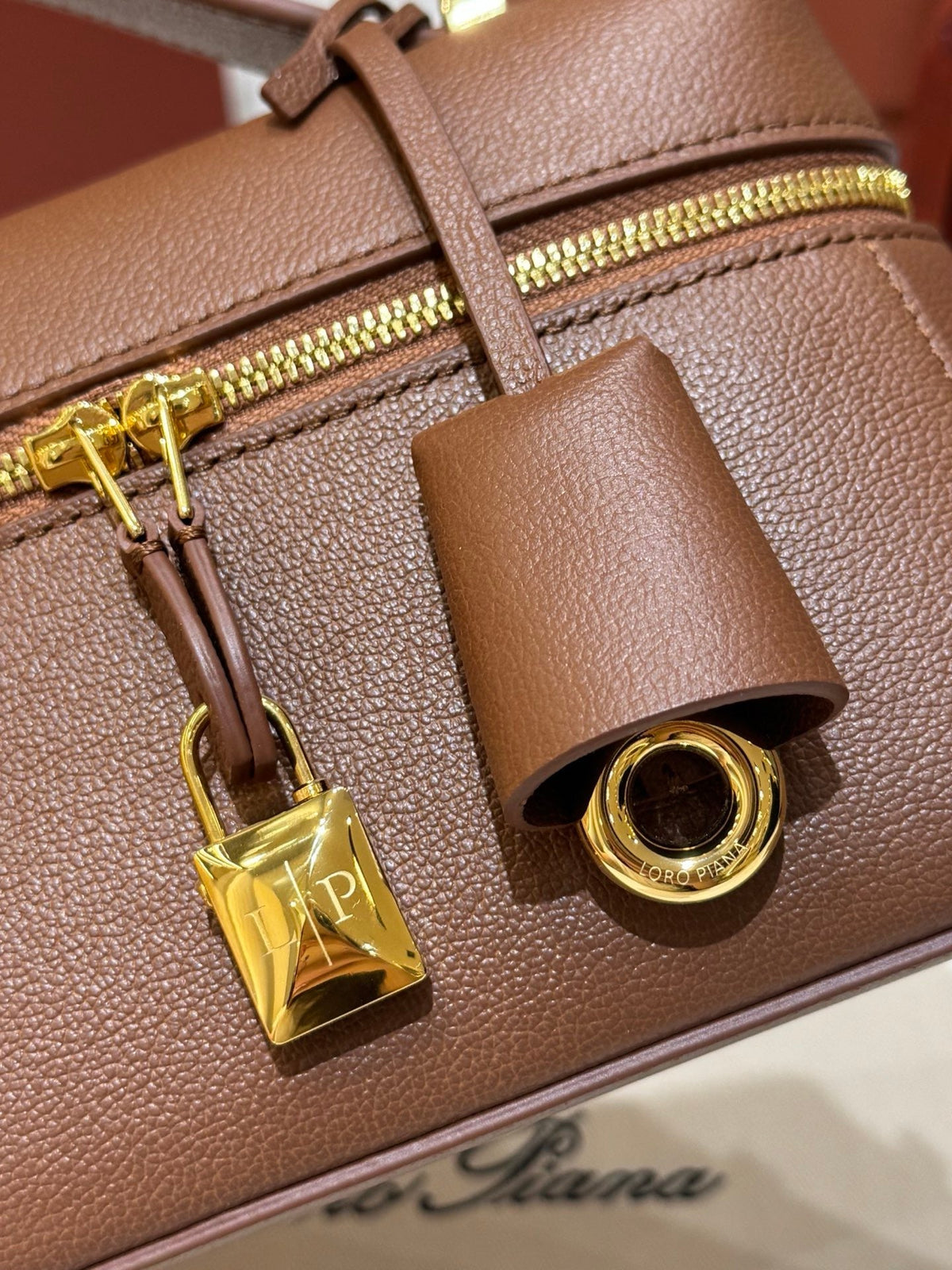 Black and Brown Bag