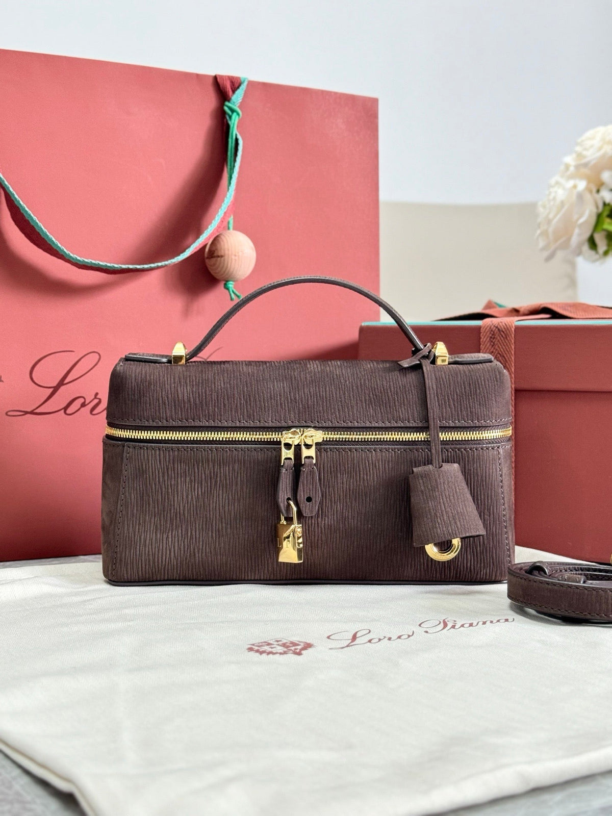 Dark Brown and Tan Bag