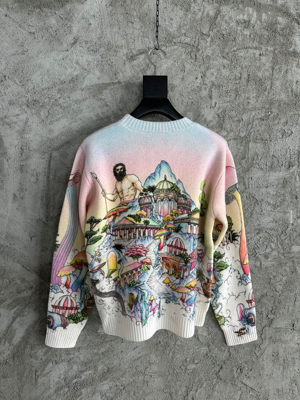 Pink Wool Print Crewneck - Men's