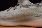 Yeezy Boost 350 V2 True Form Sneakers