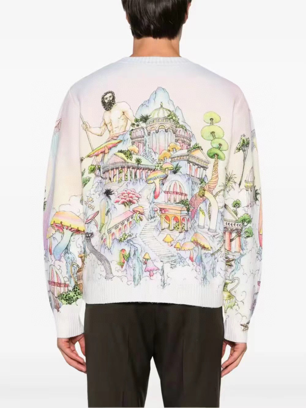 Pink Wool Print Crewneck - Men's