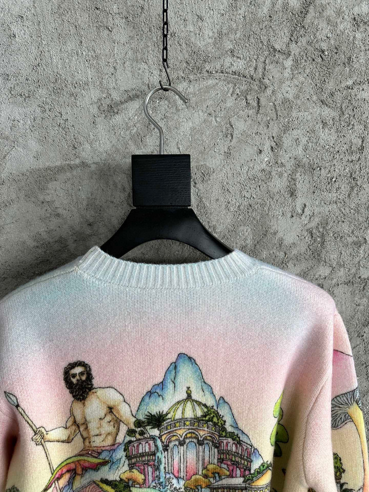 Pink Wool Print Crewneck - Men's