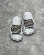 Black and Grey Slides