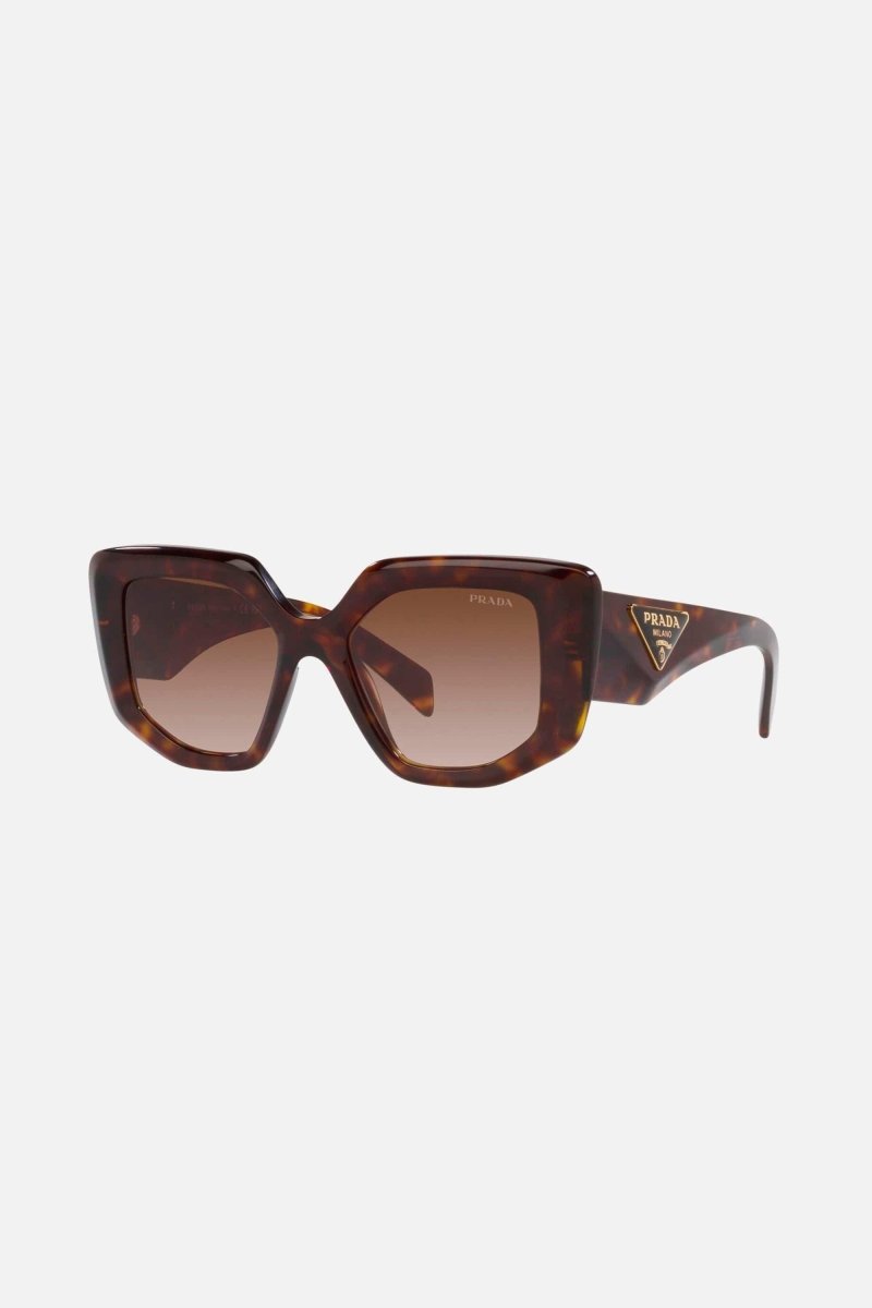 Havana butterfly shape sunglasses – sunglasses for women include a wide range of silhouettes and colors – LUX VERSE Luxury Designer Fashion Outlet