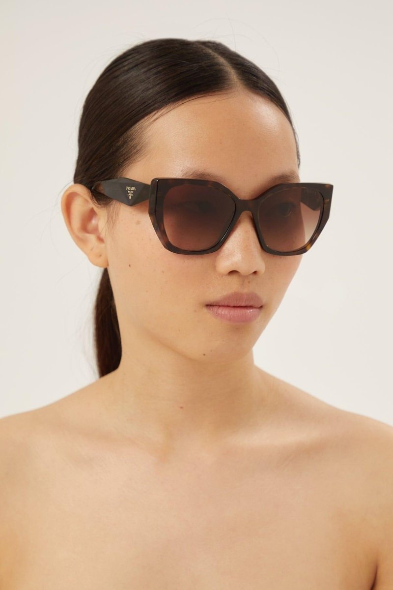 Havana butterfly shape sunglasses Catwalk – sunglasses for women include a wide range of silhouettes and colors – LUX VERSE Luxury Designer Fashion Outlet