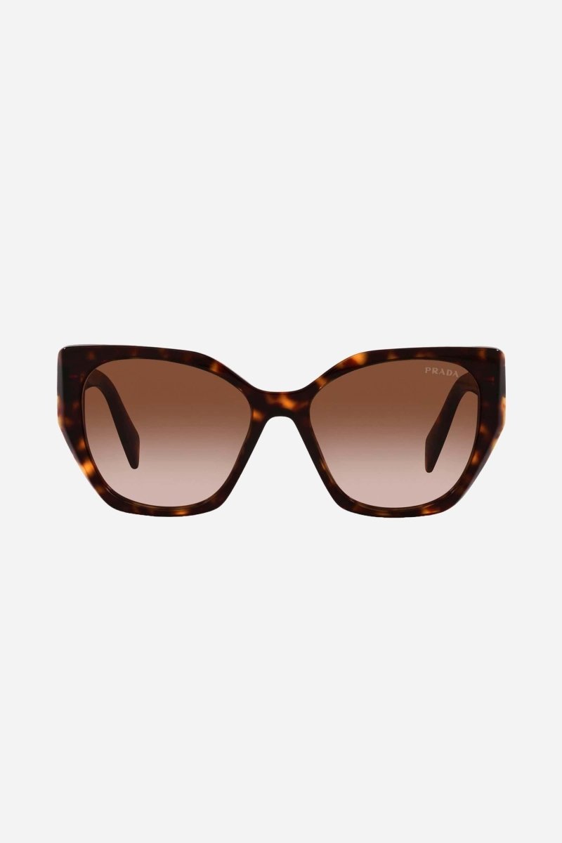 Havana butterfly shape sunglasses Catwalk – of silhouettes and colors: from the refined CinŽma styles to square – LUX VERSE Luxury Designer Fashion Outlet