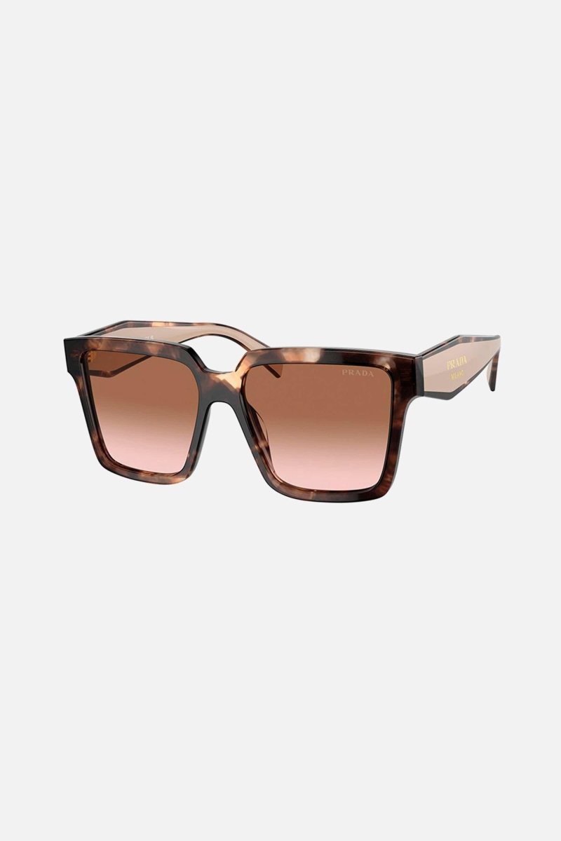 PR 24ZS over cat eye havana and pink sunglasses – sunglasses for women include a wide range of silhouettes and colors – LUX VERSE Luxury Designer Fashion Outlet