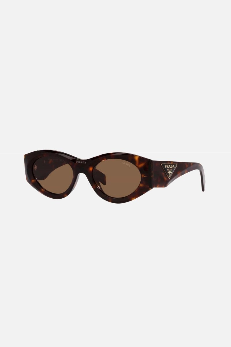 Prada PR20ZS havana bold oval sunglasses - Lux Studios